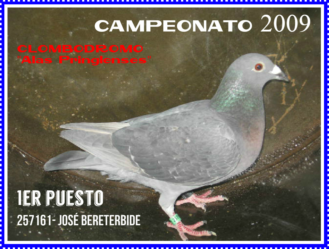 palomcamp09